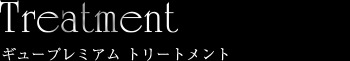 ギュープレミアム トリートメント